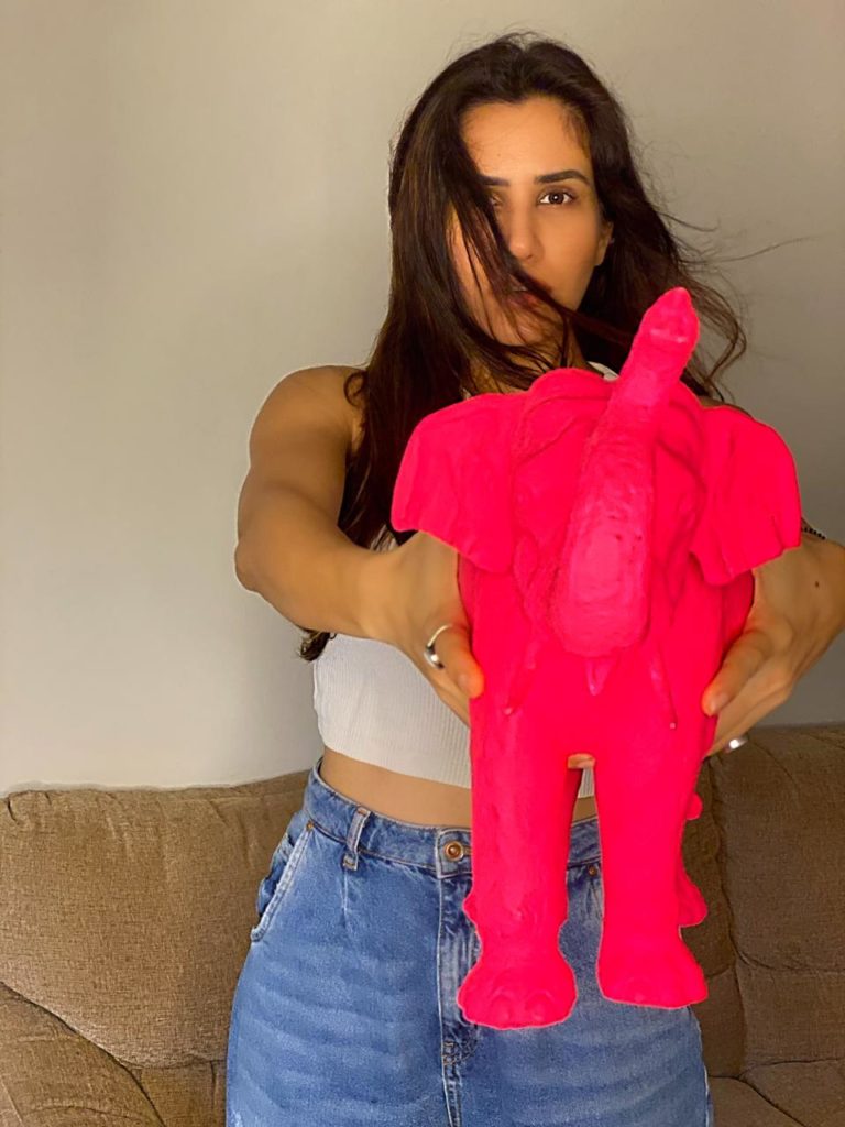 Sonnalli Seygall addresses the Elephant in the room, raises valid points about animal cruelty